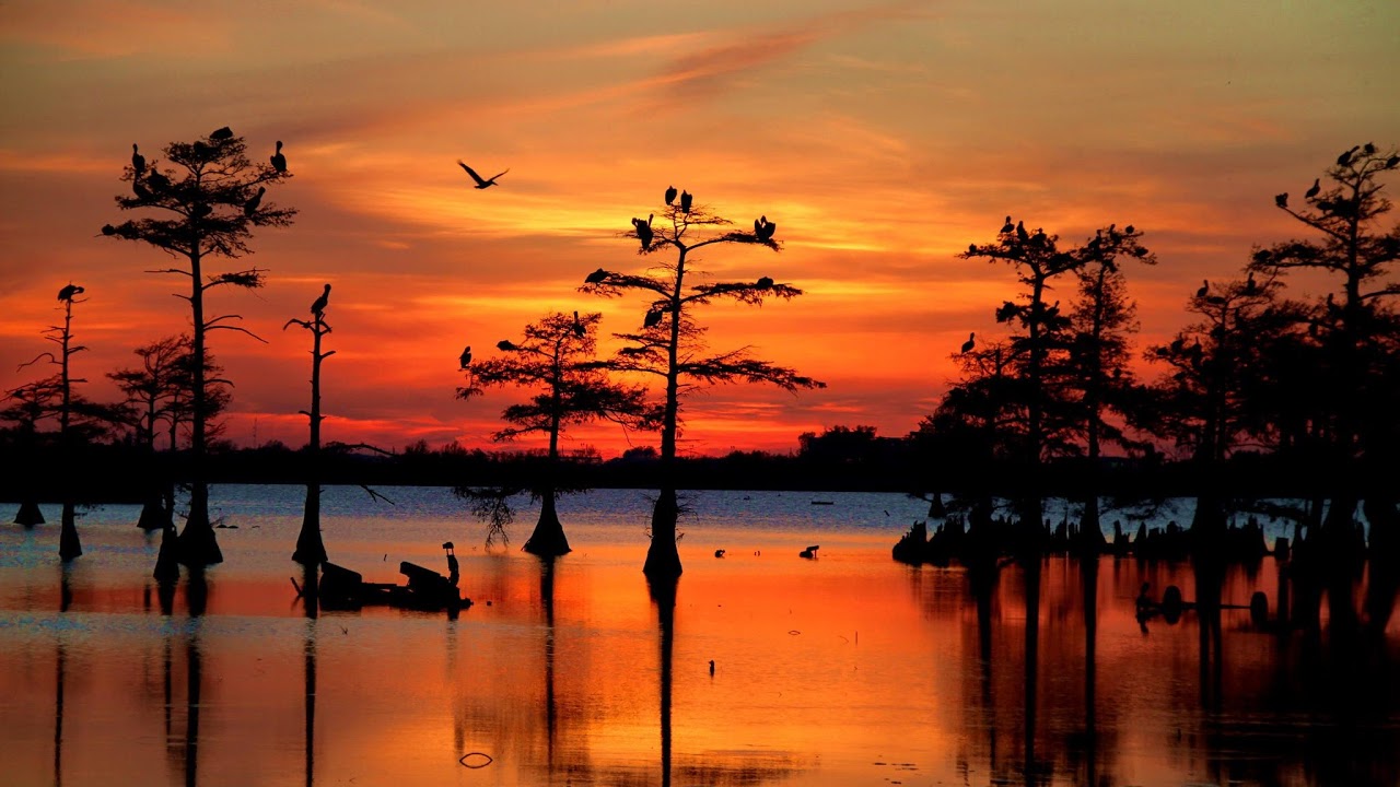 RiverLife Fellowship Live Stream