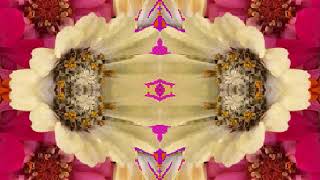 Party Girl (by Linda Ronstadt live in Dallas, TX 11-25-75)