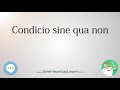 Condicio sine qua non 🔊