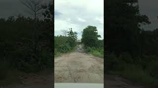 Download lagu Jalan Rusak Parah! Antara Metro & Metro Kibang Lampung Timur mp3 Download lagu Jalan Rusak Parah! Antara Metro & Metro Kibang Lampung Timur mp3