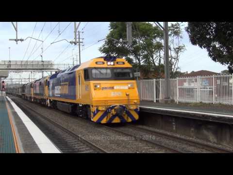 AN5, 8160, DL45 & X51 - Golden Highway & Adamstown - January 2014