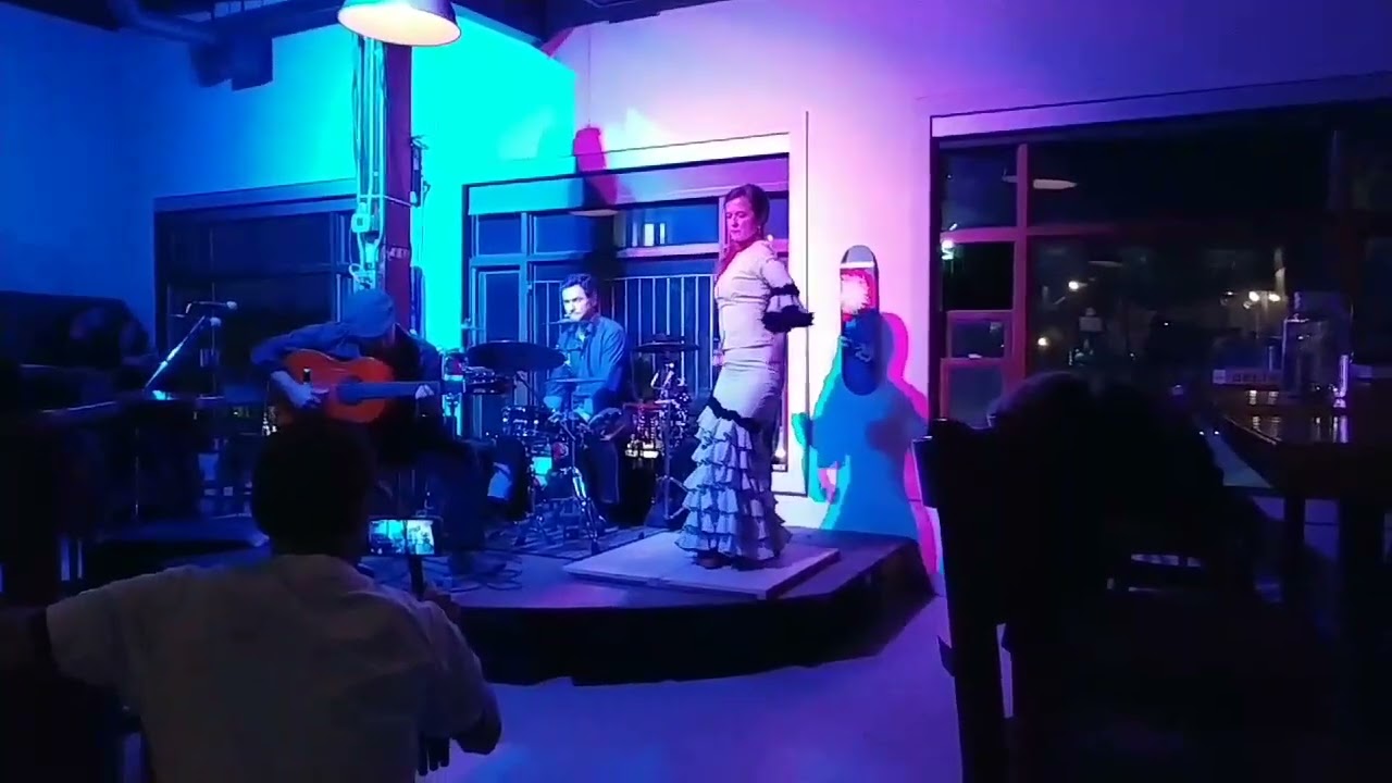 Promotional video thumbnail 3 for Honey Sturdy Flamenco
