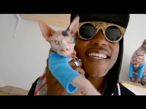 iAmMoshow - Cat World (Official Video)