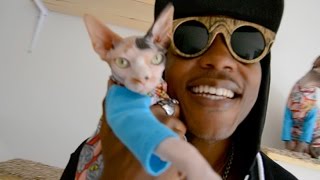 iAmMoshow - Cat World (Official Video)