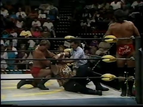 Pretty Wonderful (Paul Orndorff Paul Roma) vs. Nasty Boys - 8/10/1994 - WCW
