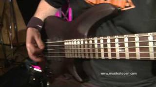 Video thumbnail for Musikshopen - Schecter Damien 5 & Warwick Blue Cab 60 by musikshopen