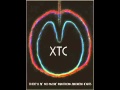 XTC: "I'm The Man Who Murdered Love" with Lyrics