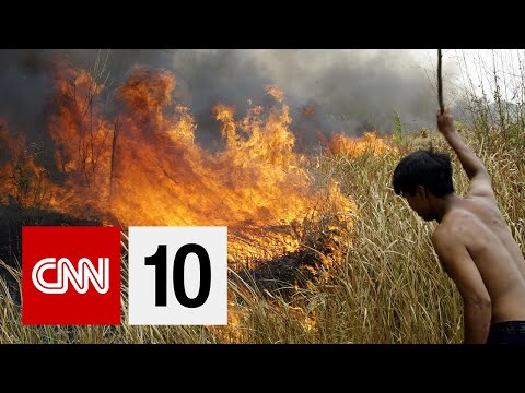Who Is To Blame For The Burning Amazon | August 23, 2019
