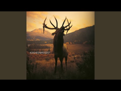 Empty Skies (2021 Remaster)