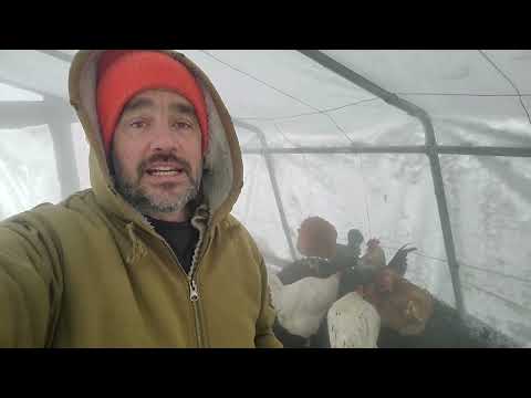 Hot Composting's Winter Power: Arctic BLAST Challenge