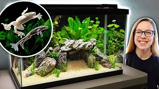 Creating a Planted Tank for Dwarf Frogs with Secret Caves