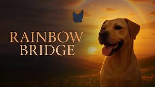 Rainbow Bridge | Until We Meet Again