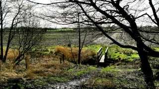 Hic Bibi Circular Walk