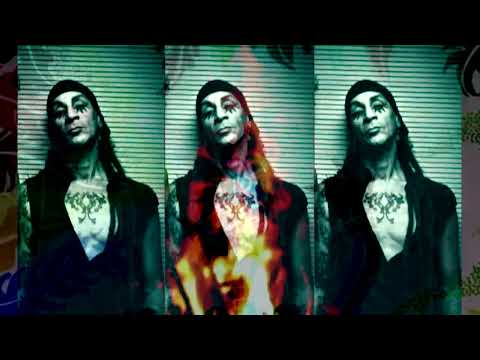 CANGREJO & DERMIS TATÚ: LA AVISPA (The Wasp). Organic House Remix by DANI MAAL