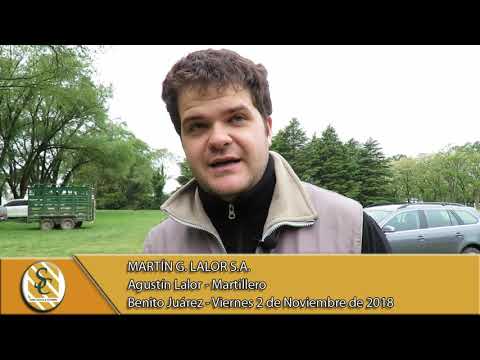 02-11-18 Nota Agustin Lalor - Martillero - Martin G. Lalor S.A. - Benito Juárez