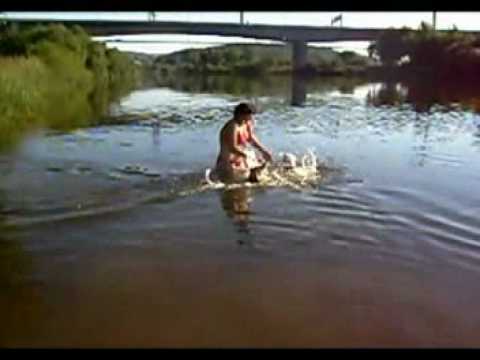 Psí koupel part I..avi