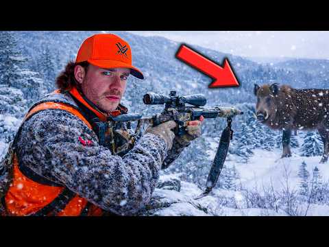 4 Days in Appalachia Off-Grid Camping & Wild Boar Hunting!