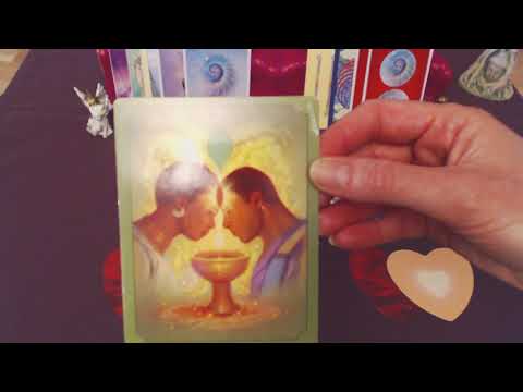 Wochenlegung für die Woche 31.01. - 07.02.19