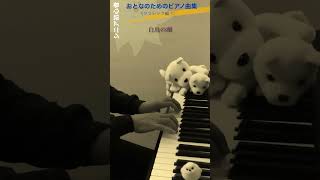 Download lagu 白鳥の湖　おとなのためのピアノ曲集　【初心者60歳】 #shorts mp3
