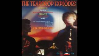 The Teardrop Explodes - Books