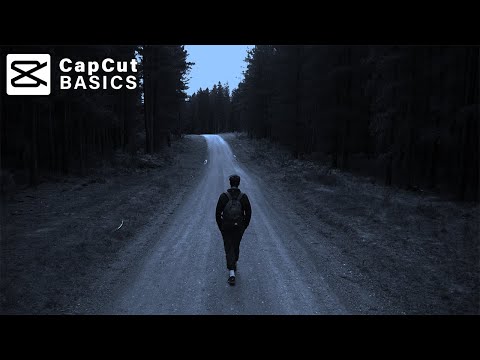 How to Create a Day to Night Effect in CapCut
