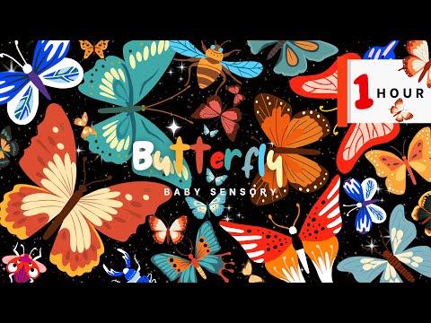 Pretty Color Butterfly Flying: Magic Effect Baby Sensory Delight with Uplifting Dancing and Fun Beat