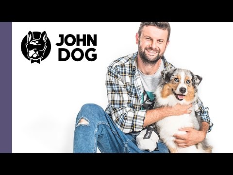 Jak pielęgnować psa samemu - TRENING PSA - John Dog