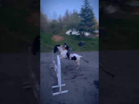 Holy hunchback guys 😍