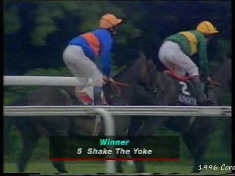 1996 Coronation Stakes Shake The Yoke Includes Replay