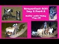 Rollin With Pinky Vlog 16 Breyerfest 2017 Day 2 Part 2
