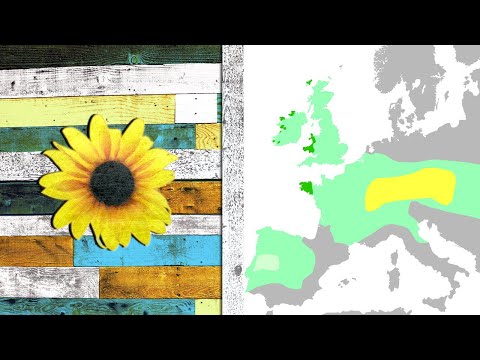 10 Lost Tribes - Tracing the Dispersion - Europe