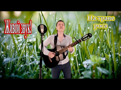 исп. Владимир Need Soul Кузьмин - На траве роса (cover version)