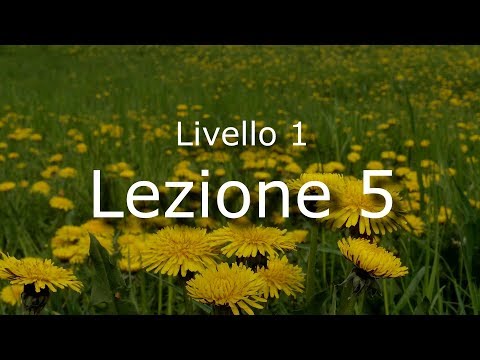 Italian lesson 5 - Italiano lezione 5 - 2018