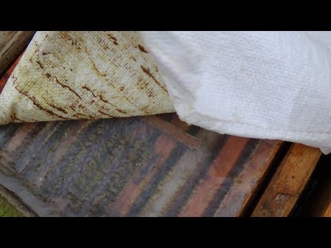 Зимний обзор любительского точка на пасике