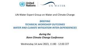 Briefing Technical Workshop Outcomes: Water and Climate Mitigation Interdependencies