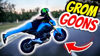 Honda Grom Wheelie & Stoppie Practice Session | Honda Grom Motovlog | Honda Grom Fun and Fails