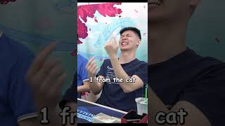 DOG-RIDING CAT