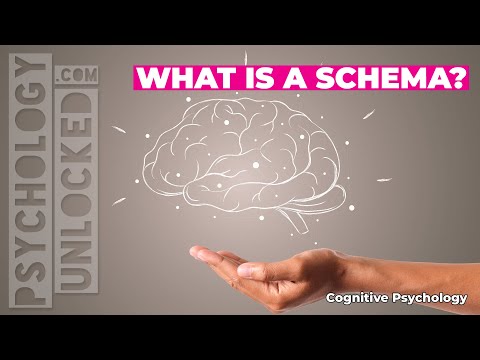 🧠 What is a schema? 🧠 Cognitive Developmental Psychology