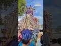 GwaliorMuharram 2023 Shankrpur Sigora Tajiya Sigora Ka Tajiya Gwalior Bahodapur Tajiya Shorts