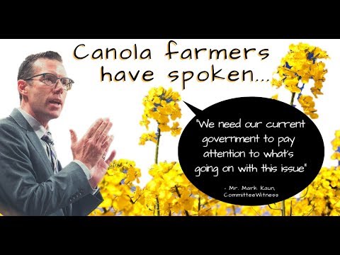 download lagu mp3 mp4 68k Canola, download lagu 68k Canola gratis, unduh video klip 68k Canola
