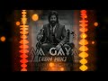 AA GAYA (EDM MIX) - DJ HRUSHI REMIX