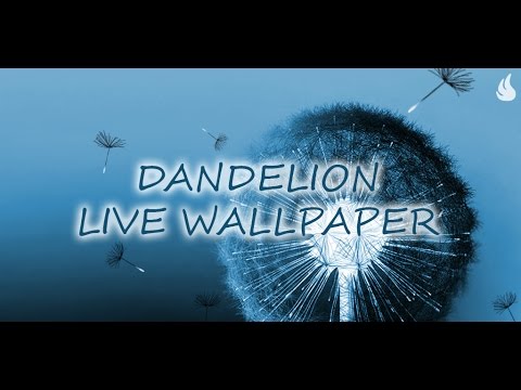 Видеоклип на Dandelion