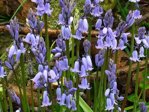 BARBIE SMITH SINGS ..LIFE AND LIGHT MISSION