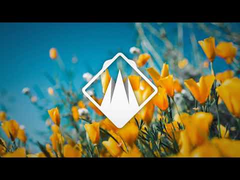 Praised cats - Shined On Me (Larrykoek Remix)