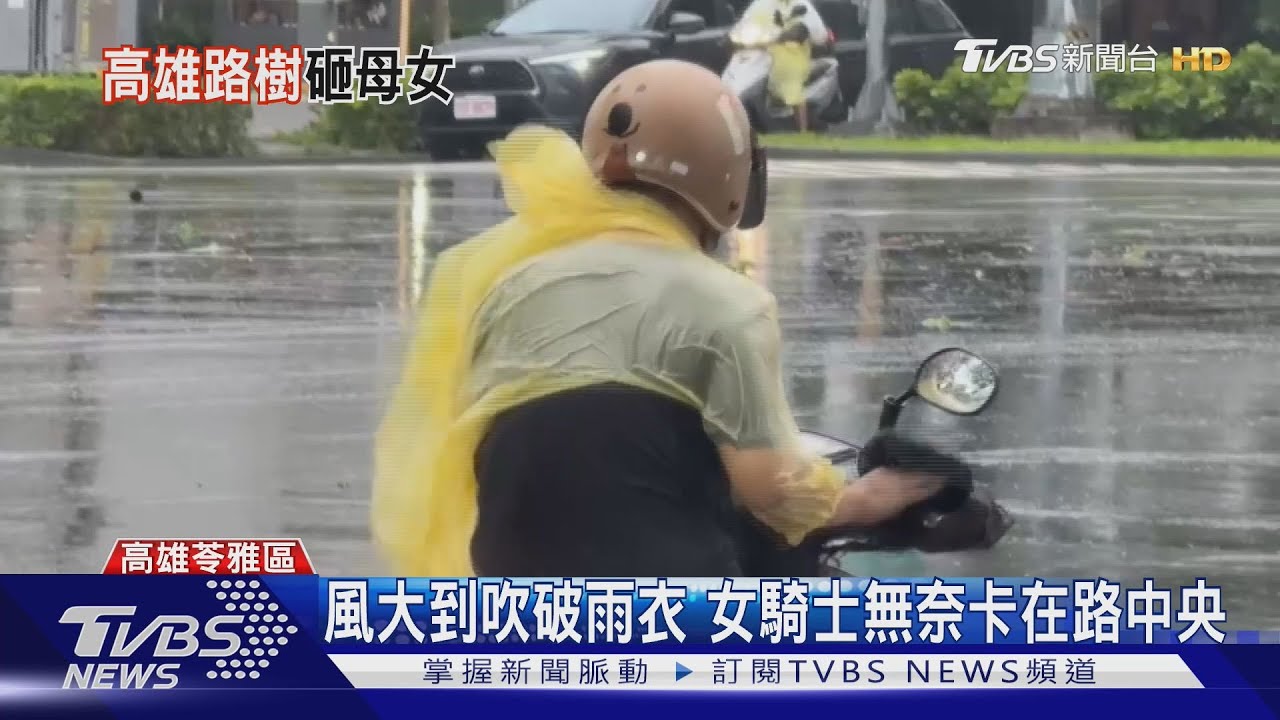 強風暴雨襲高雄!母女雙載遭斷樹擊中 女童送醫