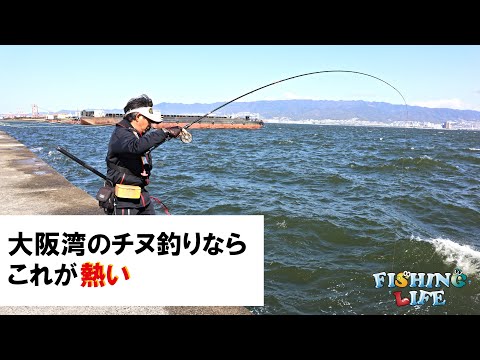 武庫川一文字落し込み釣りでチヌを狙う
