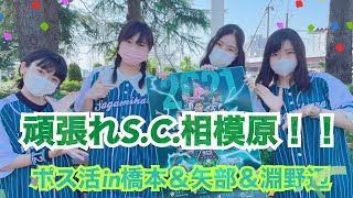 つぶつぶ★ＤＯＬＬ_ポスター広報_2021.08.28＆29_SCSガール