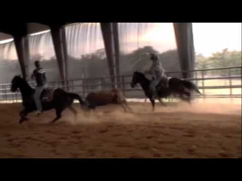 Thumbnail for Nov 1, 2010 Practice - Aaron Jensen by Eminem