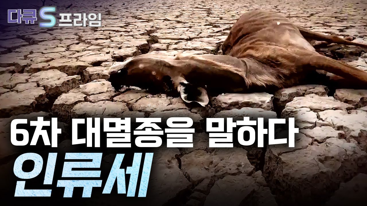 [다큐S프라임] 인류는 지구의 환경을 어떻게 바꾸어 놓았을까? / YTN 사이언스