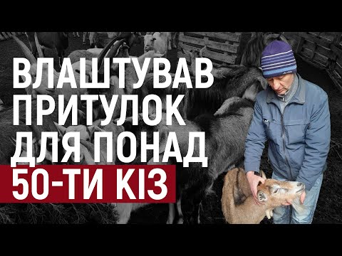 На Херсонщині діє притулок для кіз 0